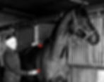 test (2)_edited.jpg