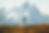 joshua-earle-oz1GKlRWab4-unsplash_edited.jpg