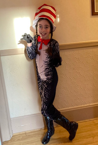 Cat in the hat