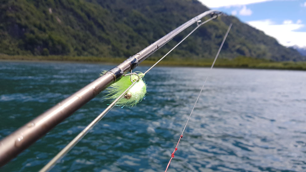 Trout Fishing