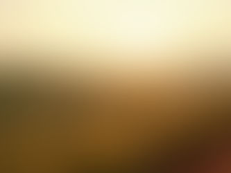 Buying a Home vs. Buying Land: What You Need to Know