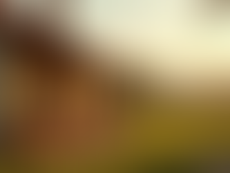 Why Choose a Rural Land Expert for Your Virginia Property Transaction