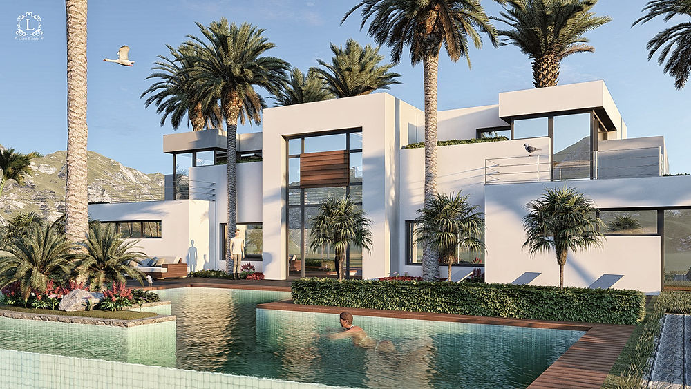 Modern house with pool and palm trees, bespoke exterior design