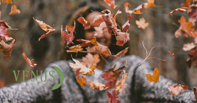Woman in a grey jumper throwing some autumn leaves and smiling