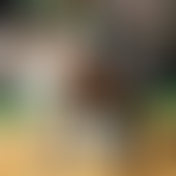 Marcus Smart on Celtics’ mindset after Game 4 defeat: “We take a loss and we bounce back