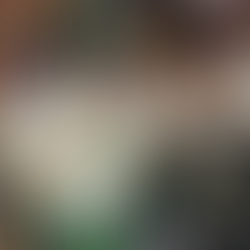 Jayson Tatum becomes first ever to win Larry Bird Conference Finals Trophy