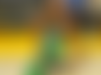 Al Horford ‘grateful for the opportunity’ to play in the NBA Finals