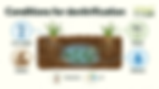 What Are the Optimal Conditions for Denitrification?