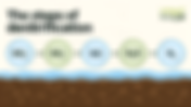 What Are the Steps in the Denitrification Process?