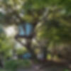 20190812_175605.jpg