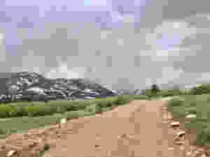 IMG_4102.jpeg