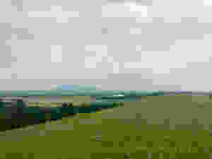 IMG_7036.jpeg