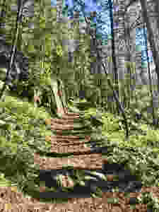 IMG_3503 2.jpeg