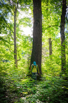 Hiking at the Yellow Dog River Community Forest in Marquette County, Michigan.
