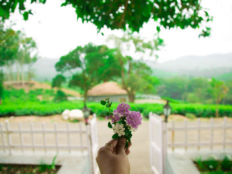 Paradise Found | Sinna Dorai's Kadumane Estate