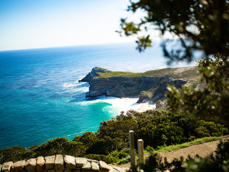 Postcards From South Africa