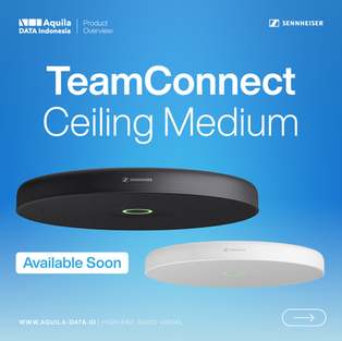 TeamConnect Ceiling Medium