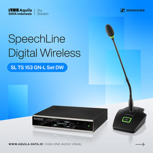 SL TS 153 GN-L Set DW 