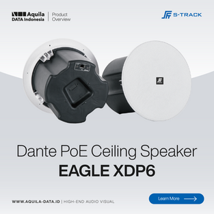 Dante PoE Ceiling Speaker EAGLE XDP6
