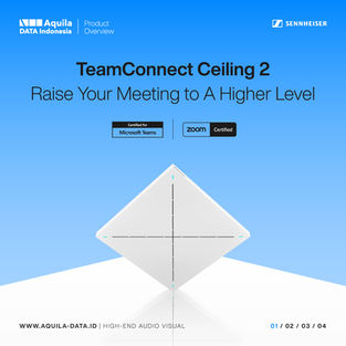 TeamConnect Ceiling 2 | Raise Your Meetings to A Higher Level.