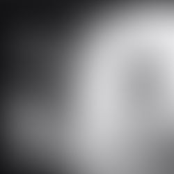 REFLECTIONS ON SCREENDANCE WORKS