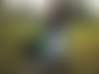 理想から現実に