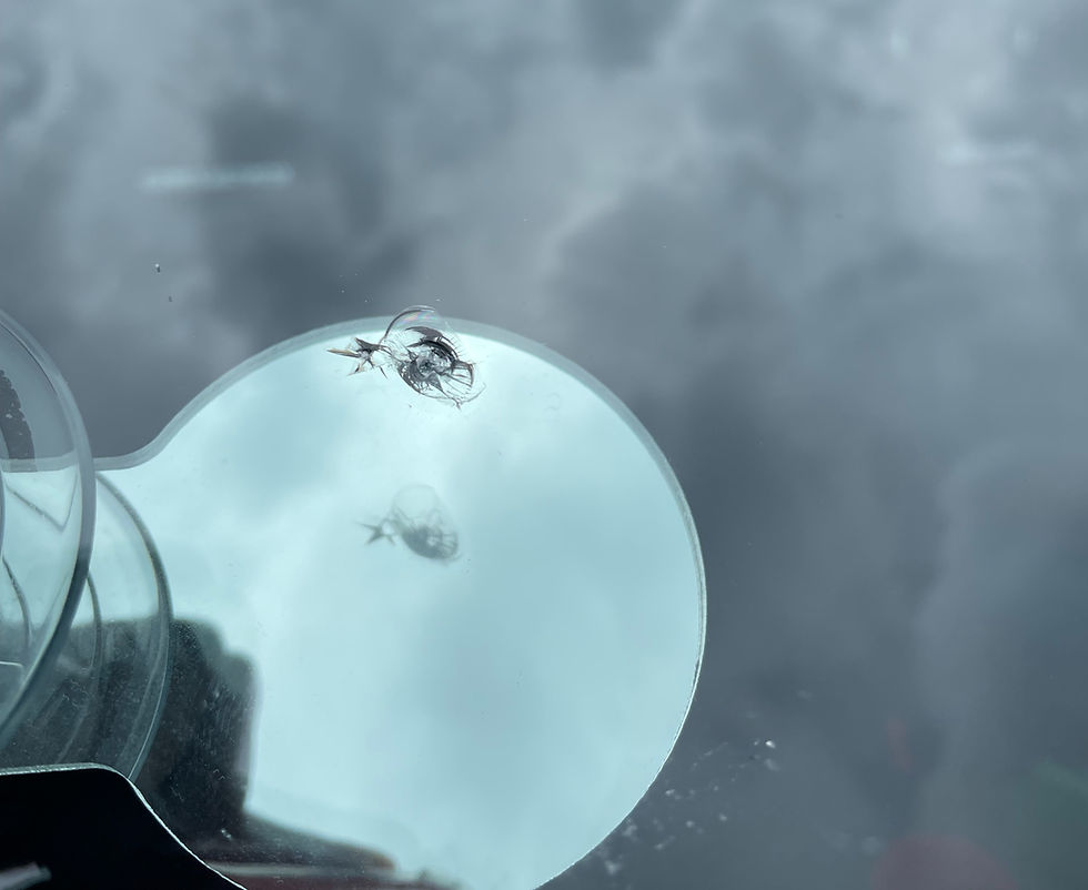 Windscreen Chip 2_edited