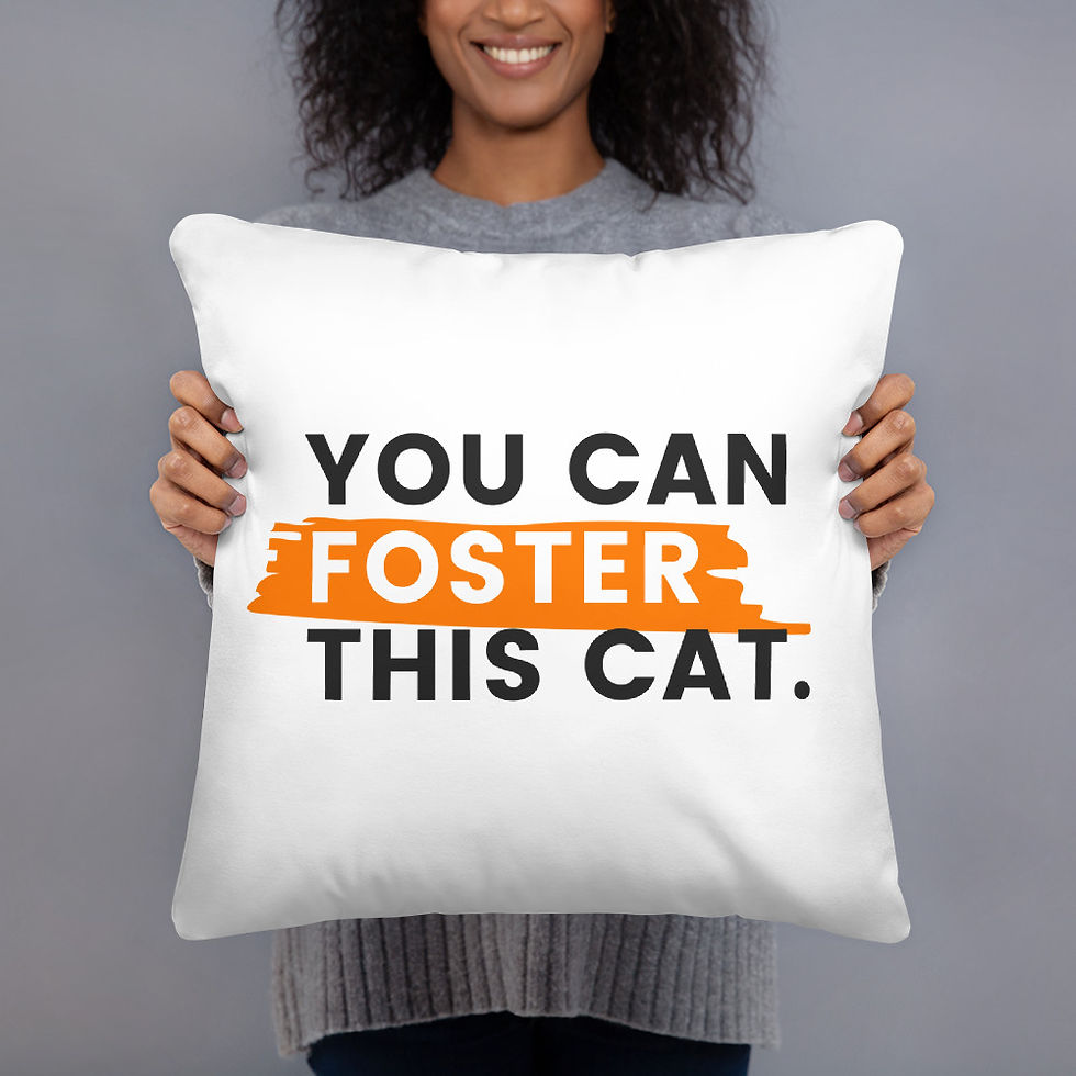 Thumbnail: You Can Foster This Cat Pillow