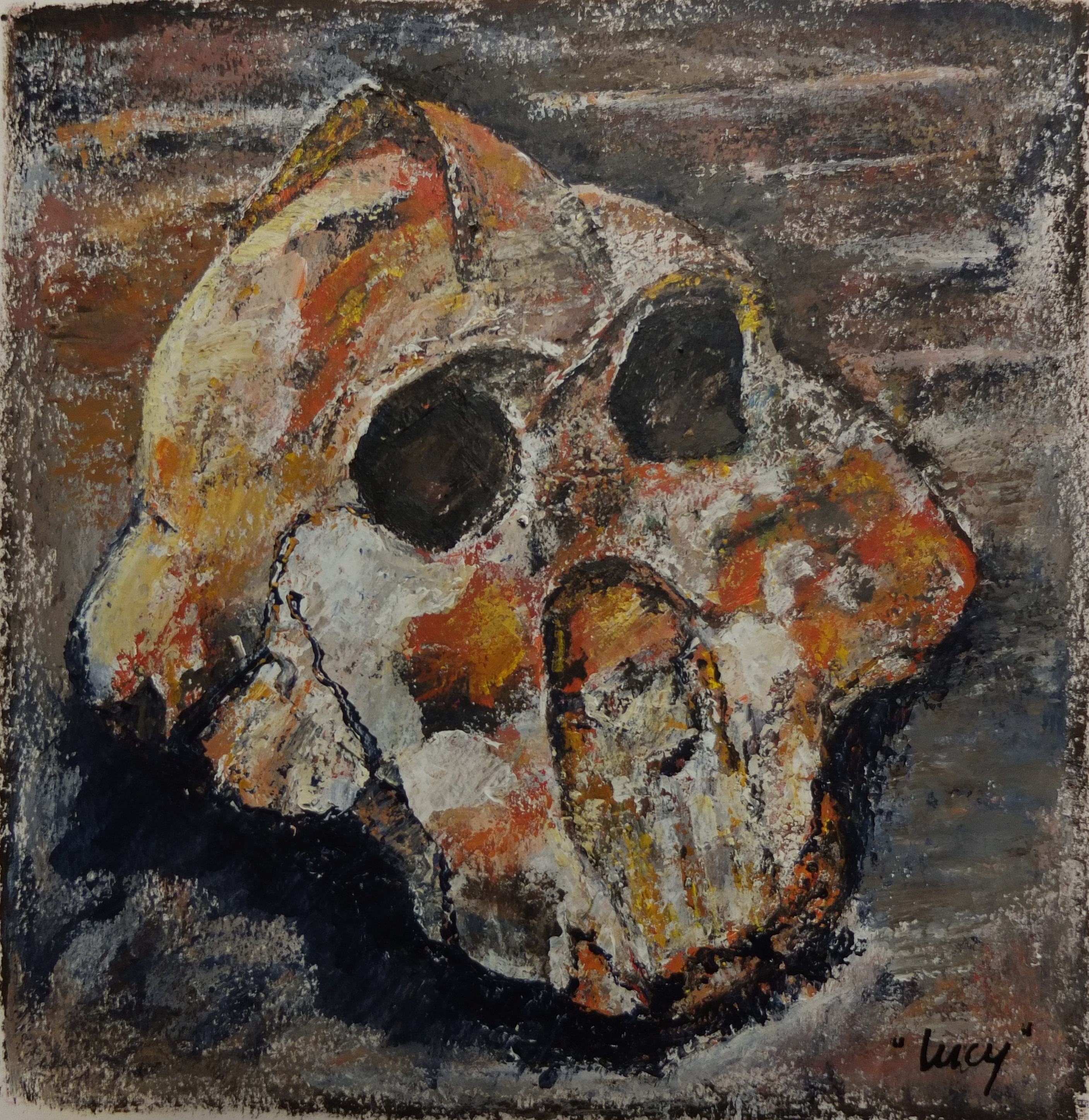 fossil "LUCY"