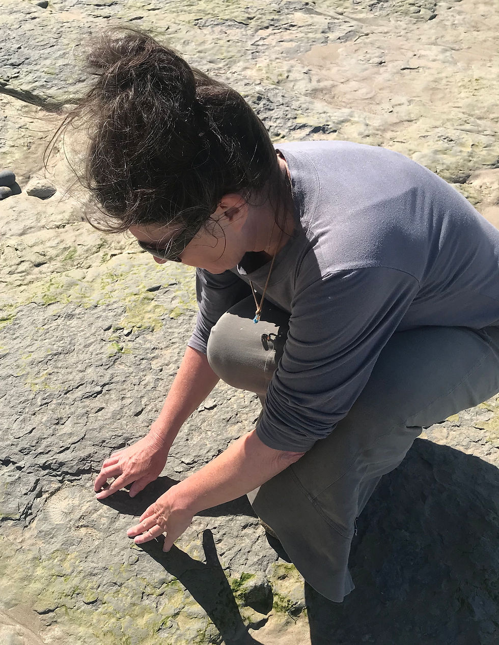 finding fossils