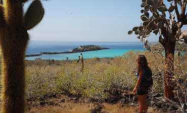 Screenshot 2025-12-16 010426.png