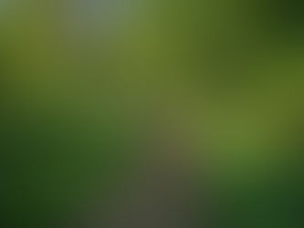 Est-ce plus facile quand on est sur sa voie?