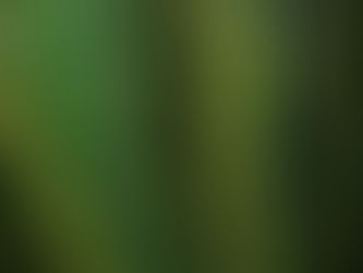 Être clair sur ses limites