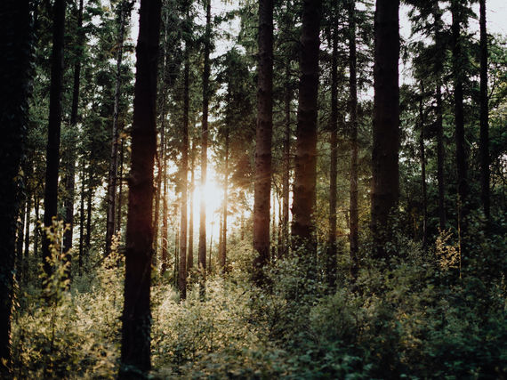 Nous ne sommes jamais qu'à une seule nouvelle pensée...