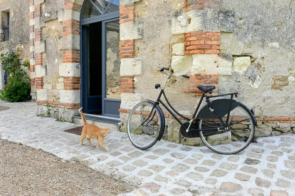 randonnée-vélo-angers-loire-vallée-du-loir
