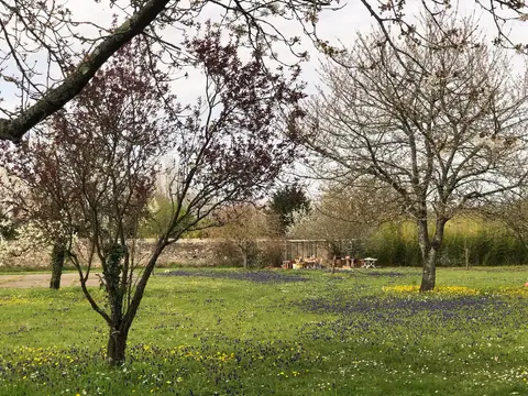 maison-hôtes-angers-loire-location-famille