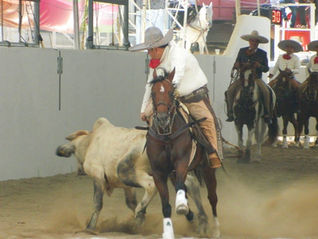 Rancho Cristo Negro presente en la máxima justa