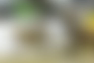 Santa Elena de Nuevo León al tercer lugar general