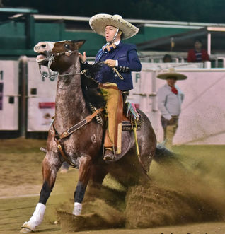 Todo puesto para el arranque del LXXII Campeonato Nacional