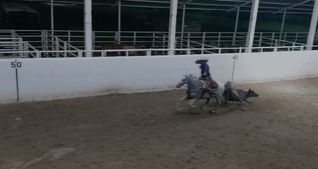 Celebran el Día del Charro en el lienzo de Charros de la Capital