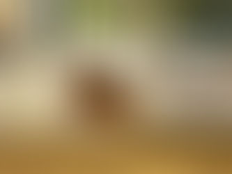 Los Charros de Morelia brillan como el oro