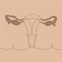 Ilustração Ginecológica