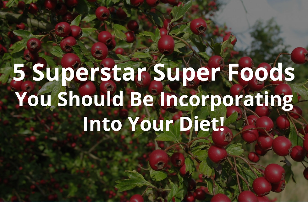 Supplement Manufacturing Company, supplement manufacturing, starting a supplement business, JustNutra, Smoothie, Whey Protein Powder, Ketogenic, Contract Supplement Manufacturer, Vitamin Manufacturer, Supplement Manufacturer, Create a Supplement