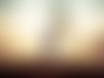 I'VE GOT A JOB TO DO