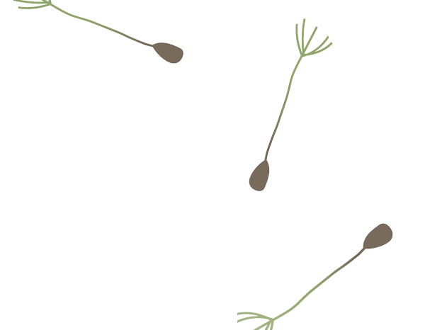 ETAMINES.png