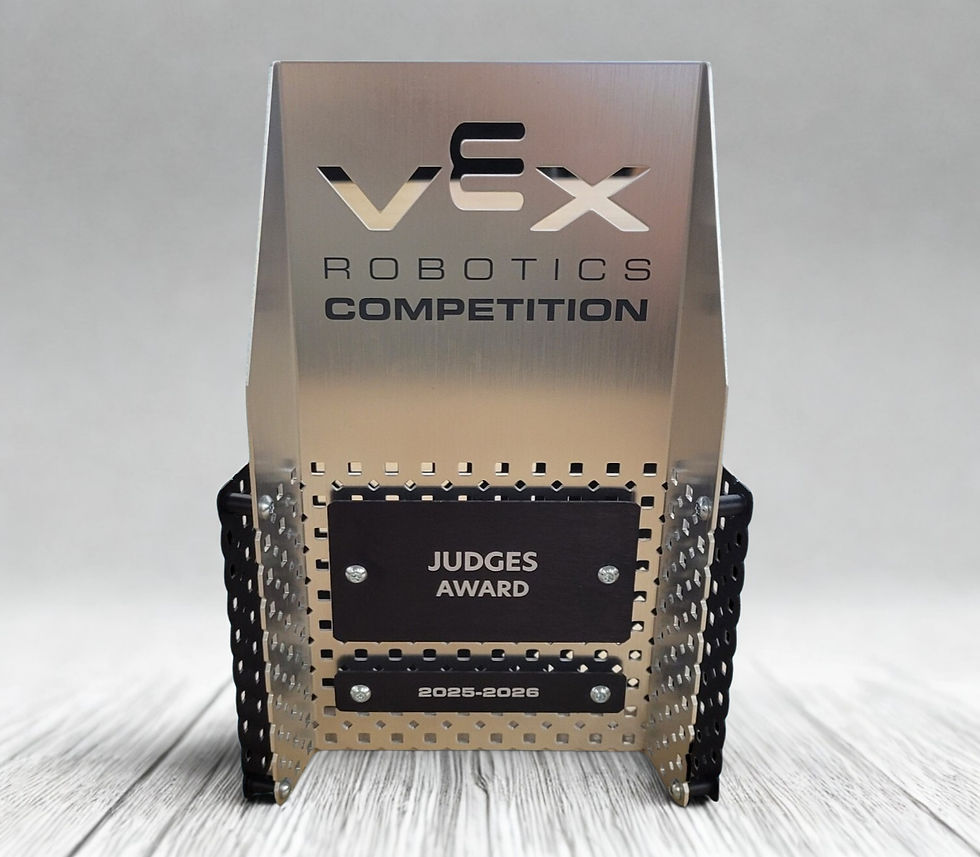 VEX Team P picture 01