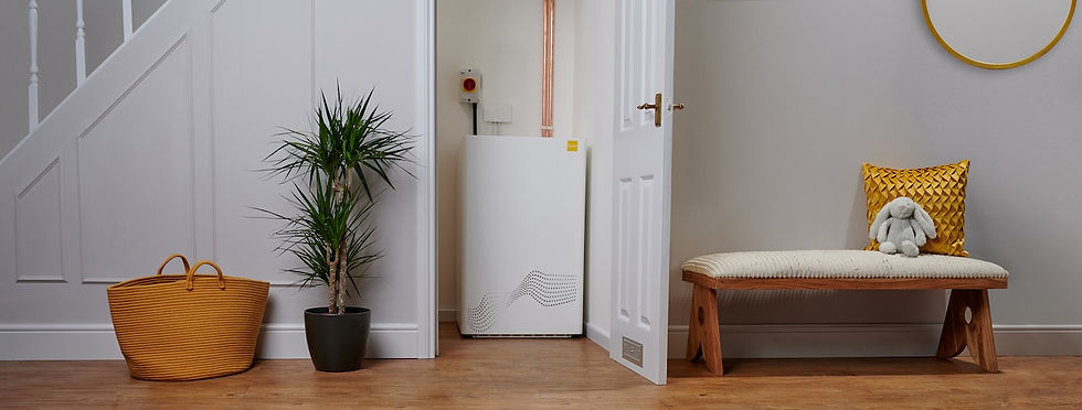 ZEB installed understairs in hallway with mirror.jpg