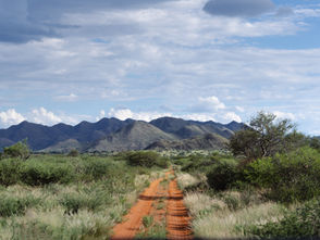 How Tswalu is Rewriting Conservation Economics Through Their Carbon Credit Project