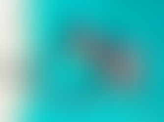 The Spice of Life: Maldives Hotel Joins Healthy Spice Movement