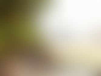 Enjoy Family Fun at Top Properties From Across the Globe